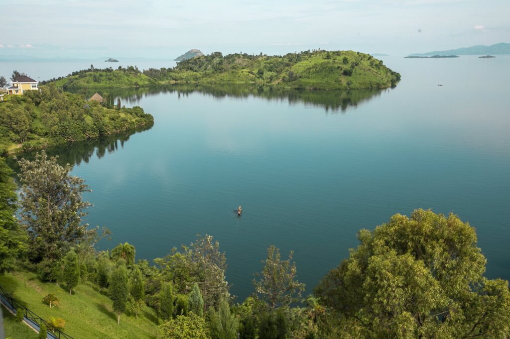 Discover lake kivu with the beautiful creatures.